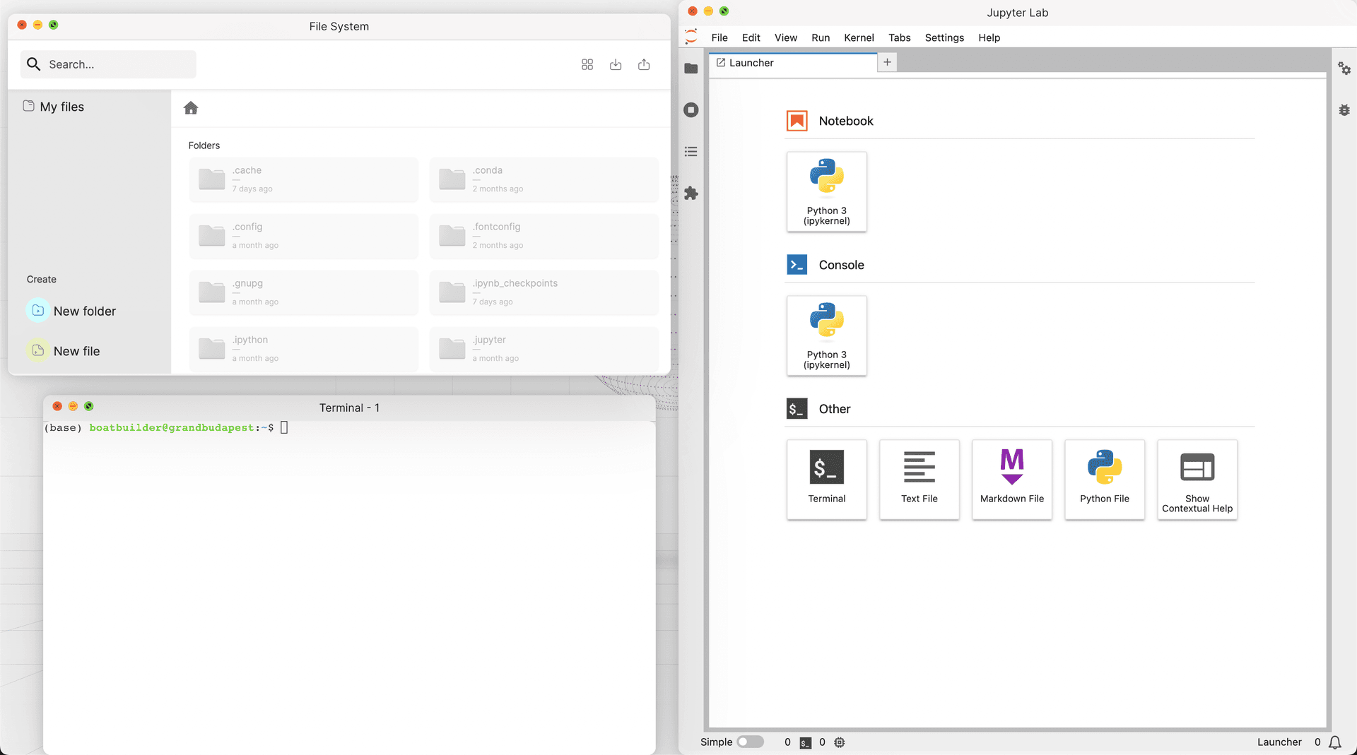 screenshot showing jupyter lab along with other apps opened together in localportal's desktop
